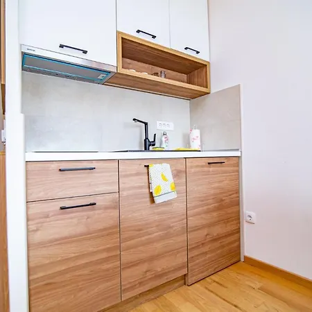 Apartment Zmils *